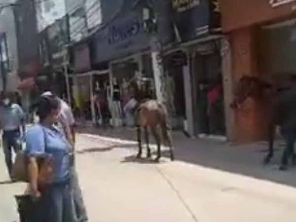Cavalos "invisíveis" invadem a movimentada rua Sales Barbosa